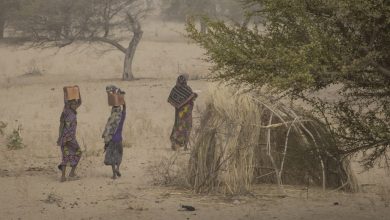 Photo of Complex security, environmental crises worsen conditions for over 360,000 in western Chad