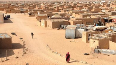 Photo of Sahrawi refugees in COVID-19 lockdown hit by livestock epidemic