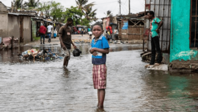 Photo of PROPERTY DAMAGED AS CYCLONE ELOISE HITS MOZAMBIQUE