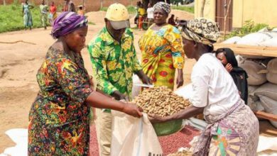 Photo of ONGOING HUMANITARIAN EMERGENCY THREATENS NUTRITIONAL STATUS OF VULNERABLE CHILDREN