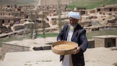 Photo of A THIRD OF AFGHANISTAN’S POPULATION LACKS FOOD AS DROUGHT BITES