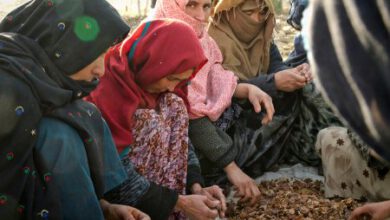 Photo of AID WILL REACH MILLIONS OF AFGHANS