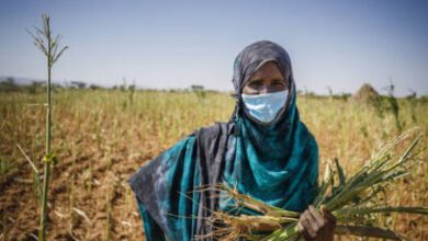 Photo of UNLOCK FUNDS AND UNBLOCK BOTTLENECKS TO BOOST FOOD SECURITY IN AFRICA