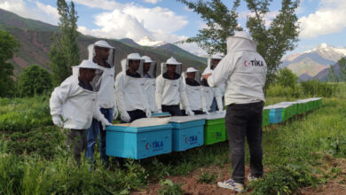 Photo of FARMERS WILL BE BEEKEEPING IN THE INSUFFICIENT AGRICULTURAL LANDS OF TAJIKISTAN