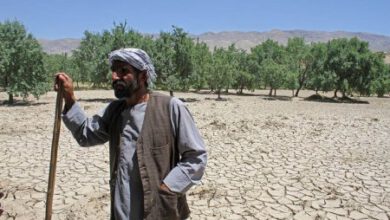 Photo of The drought in Afghanistan left millions of farmers starving.