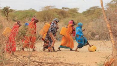 Photo of Millions of people in Somalia are facing death due to starvation