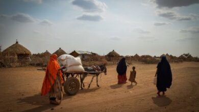 Photo of More than 20 million people in Africa need urgent help