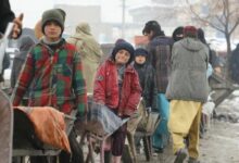 Photo of 8.7 million Afghans face famine