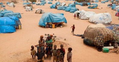 Photo of Niger faces influx of refugees