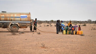 Photo of Due to drought Eastern Africa is in danger of starvation