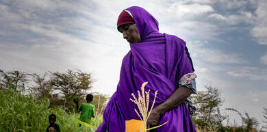 Photo of More than 50 million people will face starvation in eastern Africa this year