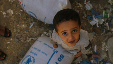 Photo of Humanitarian aid ship to Yemen departed from Ukraine