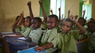 Photo of One out of every three children in Sudan needs education