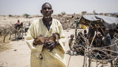 Photo of Millions of people have left their homes in Mali due to climate change and conflicts.