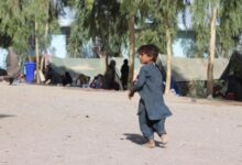 Photo of Child labor on the rise in Afghanistan